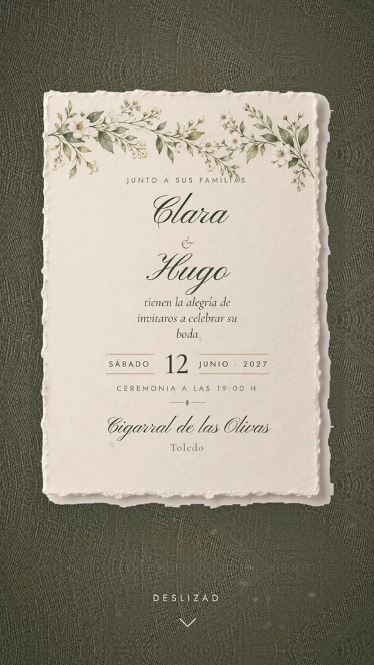 Colección Lavanda